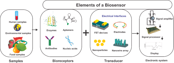 Biosensor Platform