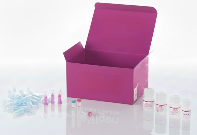 H0079X Fibroblastos asociados al carcinoma de pulmón humano